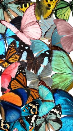 many different colored butterflies flying in the air