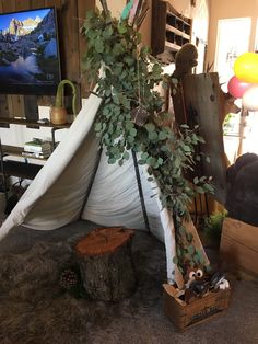 a teepee with some plants growing out of it in front of a television set