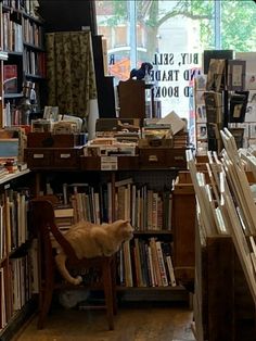 an orange cat sitting on top of a wooden chair in front of a bookshelf