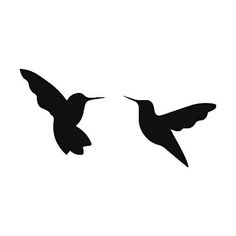 two black birds flying in the sky