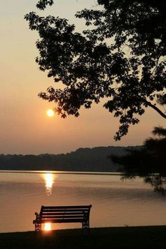 a bench sitting next to a lake at sunset