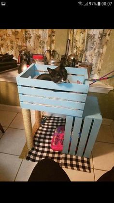 a cat sitting in a wooden crate on the floor next to a table and chair