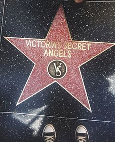 the star on the hollywood walk of fame