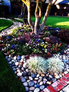 a rock garden bed with flowers and trees in the back yard, along side a red brick walkway