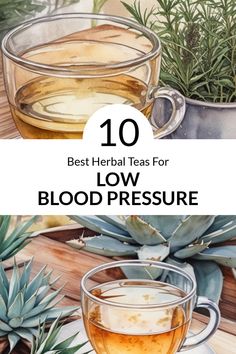 the top 10 best teas for low blood pressure and how to use them in your home