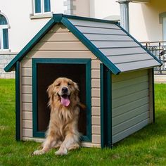 a dog is sitting in his kennel on the grass near a house with its tongue hanging out