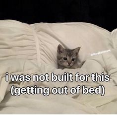 a cat that is laying down on a bed with the caption i was not built for this getting out of bed