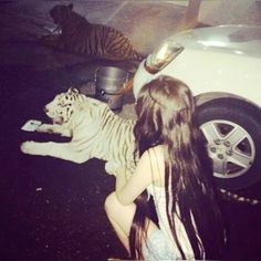 #leopard #chocolate #aesthetic 2010s Aesthetic, 2013 Swag Era, Girls Girl, White Tiger, Feminine Aesthetic, Cute Selfie Ideas, Pretty Selfies, Just Girly Things, Mood Pics