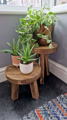 two potted plants sit on small wooden stools