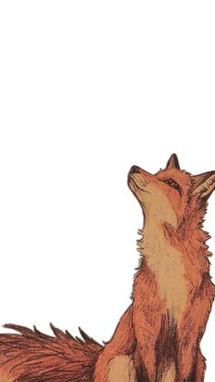 a drawing of a fox looking up at the sky