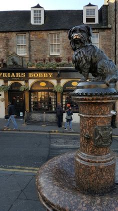 there is a statue of a dog on top of a fountain in front of a building