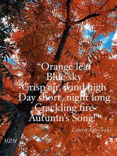 an orange leafed tree with the words orange leaf black crisp air wind high day shot, night long cakening fire autumn's song