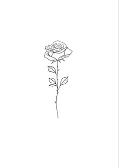 a drawing of a single rose on a white background