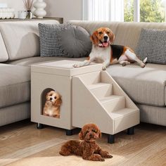 two dogs sitting on the floor in front of a couch with stairs to their beds