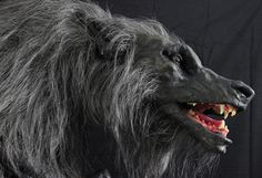 an animal with long hair is shown in front of a black background and has its mouth open