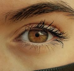 Pale Brown Eyes, Light Brown Eyes Aesthetic, Light Brown Eyes, Apple Images, Hazel Green, Color Eyes