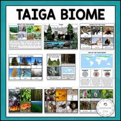 the taiga biome poster is shown in blue and white with pictures of trees, plants