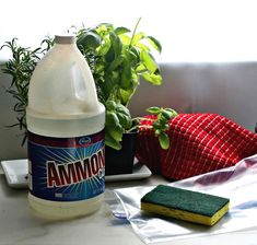 a bottle of deterant sitting on top of a table next to a potted plant