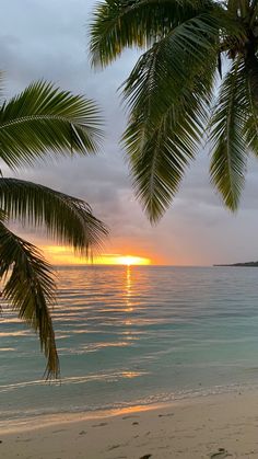 the sun is setting over the ocean with palm trees