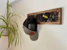 a hat hanging on the wall next to a plant