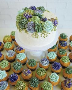 cupcakes and succulents are arranged around a cake