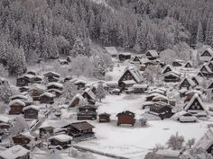 a snow covered village surrounded by trees