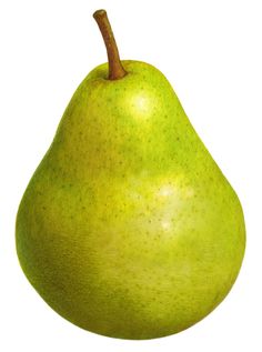 a green pear on a white background with clippings to the side for text