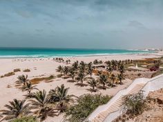 an aerial view of a beach with palm trees and the ocean in the back ground