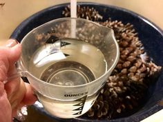 a person is holding a measuring cup with pine cones in the bottom and water inside