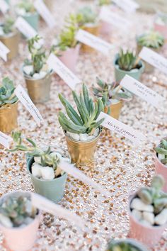 small potted plants with name tags on them sitting on a table covered in confetti