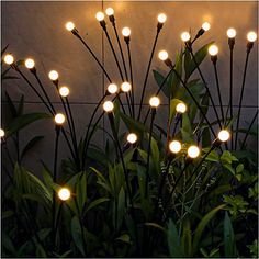 some lights that are on in the grass by a wall with plants and bushes around it