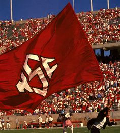 a man holding a red flag in front of a stadium full of people and fans