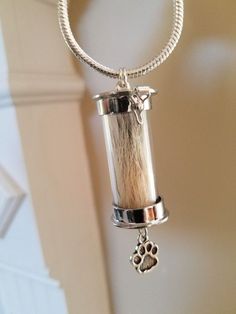 a dog's paw charm hanging from a silver plated necklace on a chain