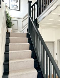 a staircase with carpeted steps leading up to the second floor