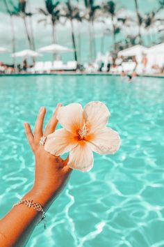 a person's hand holding a flower in front of a swimming pool with palm trees