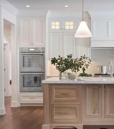 a large kitchen with white cabinets and wood flooring, an island in the middle has a potted plant on it