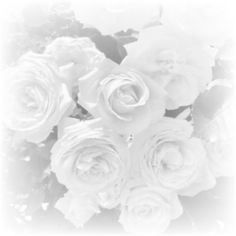 black and white photograph of roses in the middle of a bouquet with water droplets on it