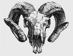 a ram's head with large horns and long horns on the front of it