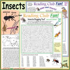 insects reading club fun worksheet for kids to learn how to read and write