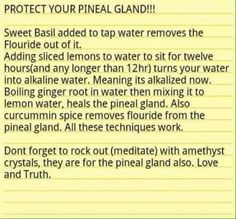 Your pineal gland is the 'seat of the soul' ...decalcify it ☺ | Pineal gland, Gland, Holistic health Pineal Gland, Alternative Healing, Natural Detox, Natural Health Remedies, Healing Herbs, Alternative Health, Health Info, New Energy, Health Facts