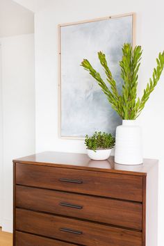 a plant is sitting on top of a dresser