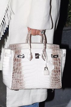 Himalayan Birkin, Snake Outfit, Birkin Collection, Alligator Handbags, Crocodile Handbags, Hermes Kelly Bag, Expensive Handbags, Womens Designer Bags