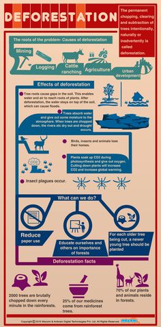 an info poster showing the different types of boats and how they are used to transport them