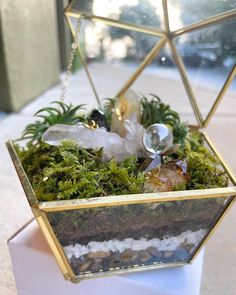 a glass terrarium filled with plants and rocks on top of a white table cloth