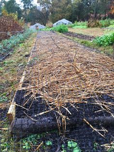 a fenced in area with straw and plants growing on the ground next to it