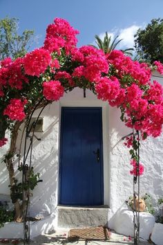 a blue door and some pink flowers on a white building with a blue front door