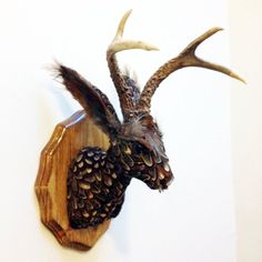 an animal head mounted to the wall with antlers on it's back end