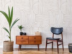 two chairs and a table in front of a wallpapered room with a potted plant