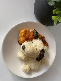 a white plate topped with rice and meat on top of a table next to a potted plant