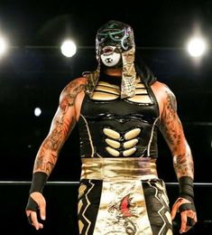 a wrestler with his face painted in gold and black, standing on a wrestling ring